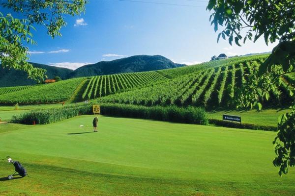 Wine Grower'S Mansion Zlati Gric Apartment Slovenske Konjice Exterior photo