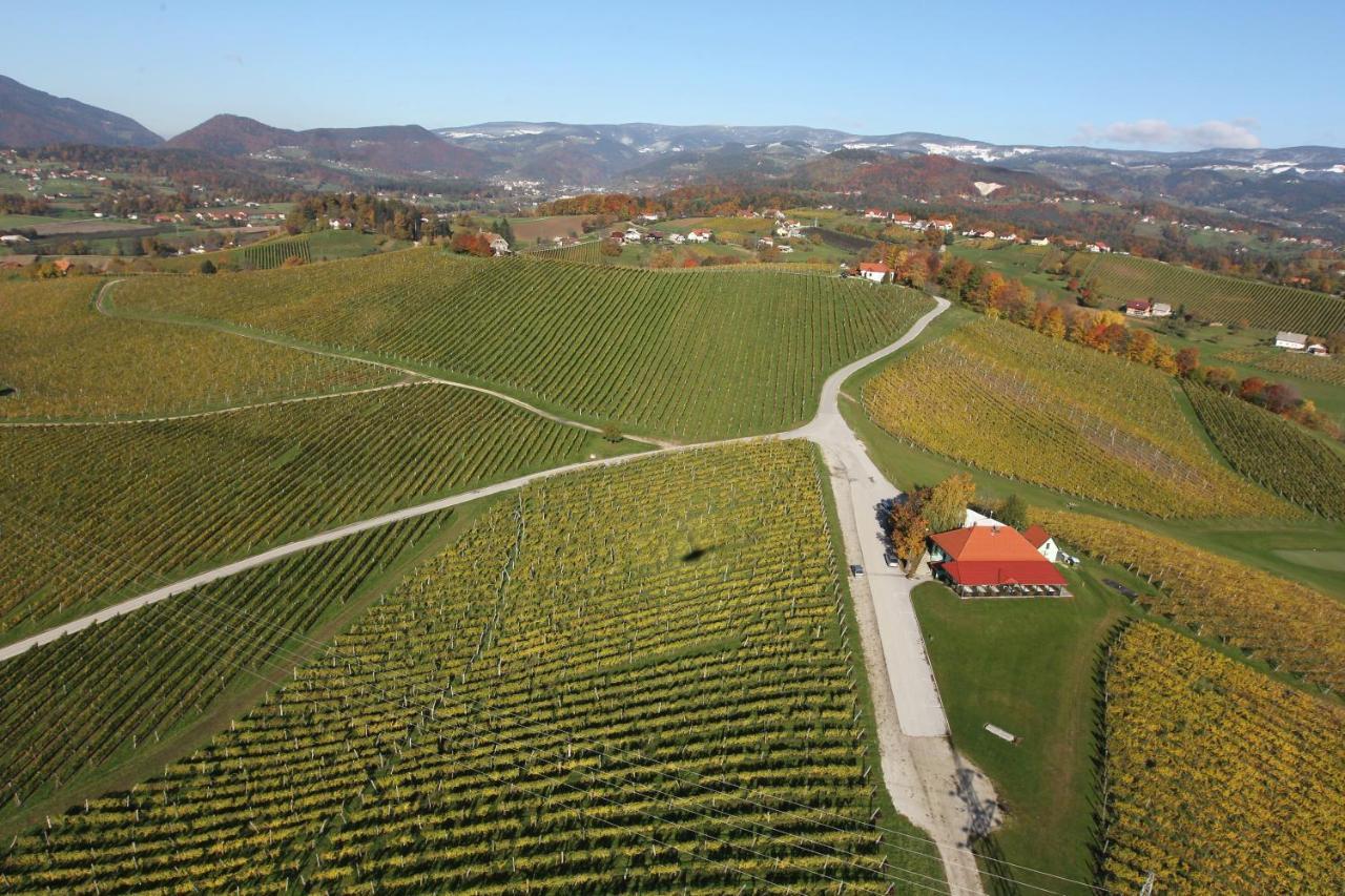 Wine Grower'S Mansion Zlati Gric Apartment Slovenske Konjice Exterior photo