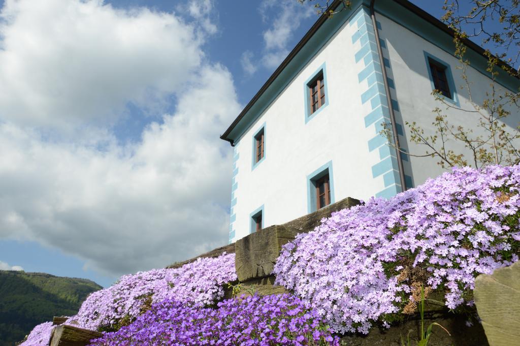 Wine Grower'S Mansion Zlati Gric Apartment Slovenske Konjice Exterior photo