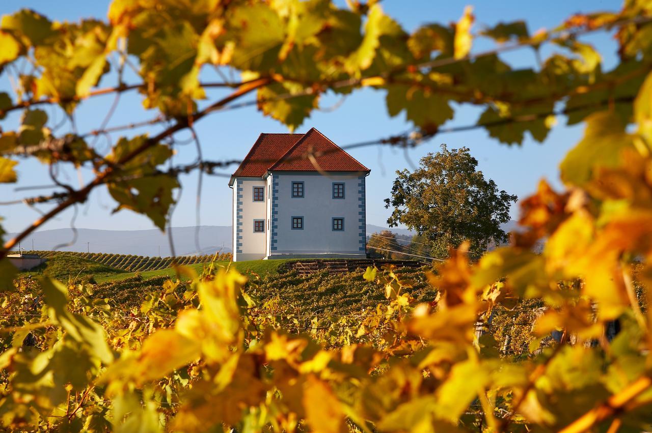 Wine Grower'S Mansion Zlati Gric Apartment Slovenske Konjice Exterior photo