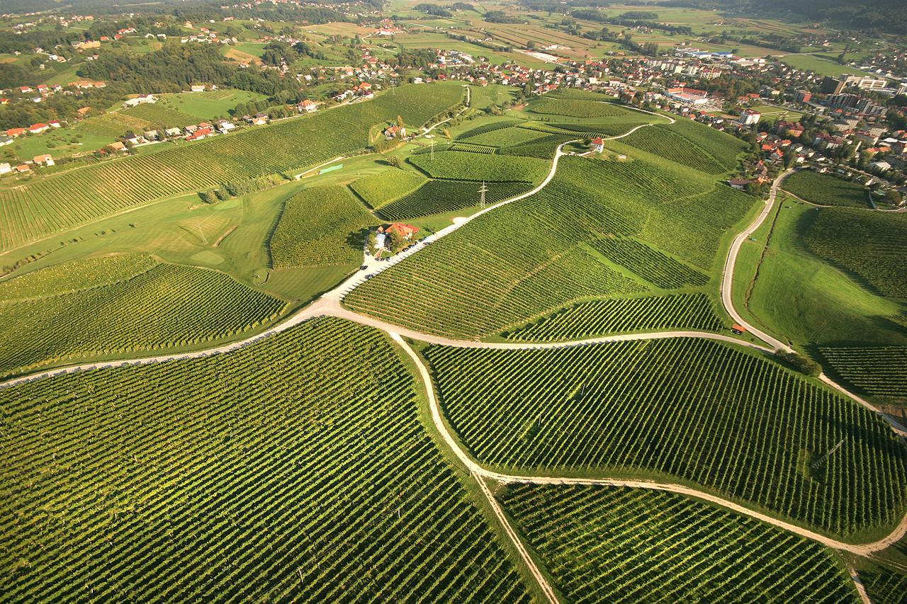 Wine Grower'S Mansion Zlati Gric Apartment Slovenske Konjice Exterior photo