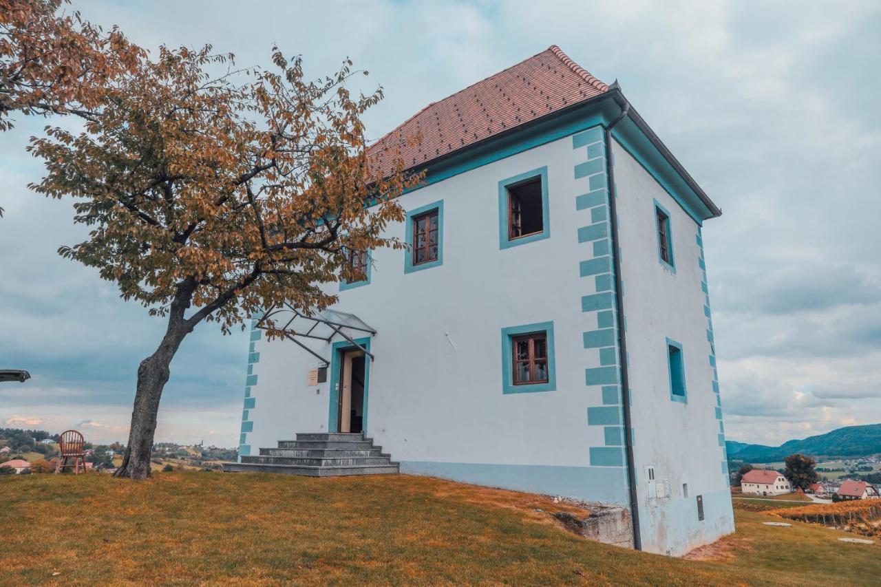 Wine Grower'S Mansion Zlati Gric Apartment Slovenske Konjice Exterior photo