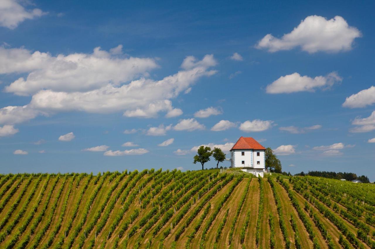 Wine Grower'S Mansion Zlati Gric Apartment Slovenske Konjice Exterior photo